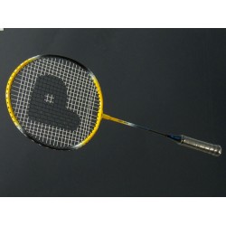 Ракетка для бадминтона Pro Court Pro-600