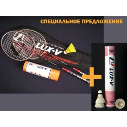 Набор для бадминтона "Motion-plus"